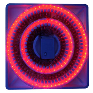 Luces led x100 con control multifunción 220v