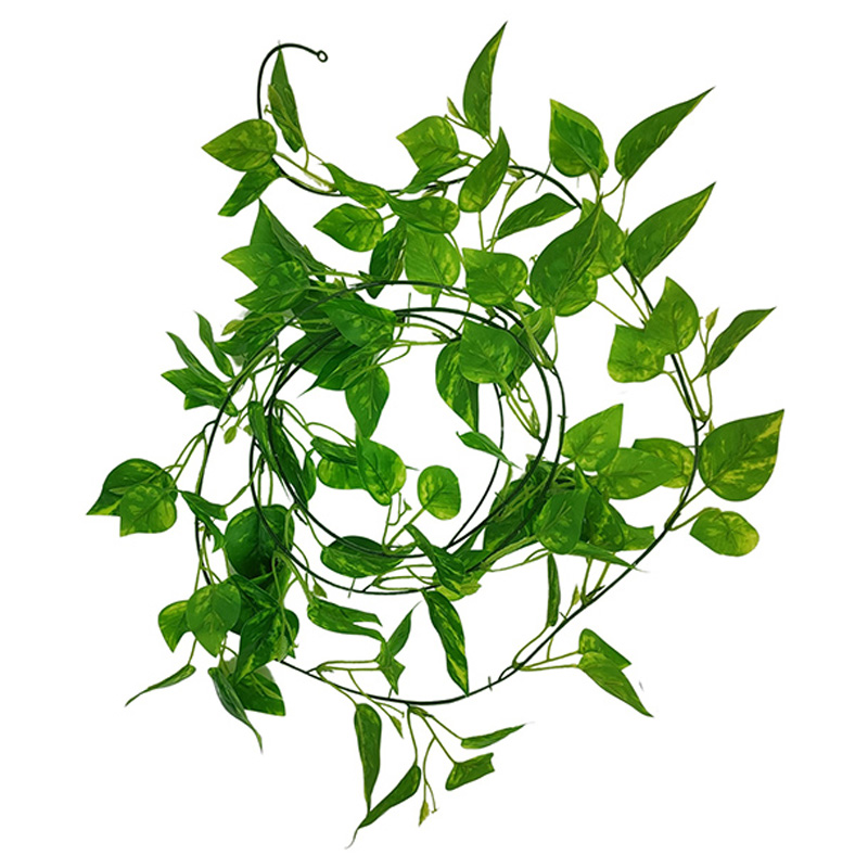 Enredadera decorativa