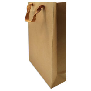 Bolsa de regalo kraft