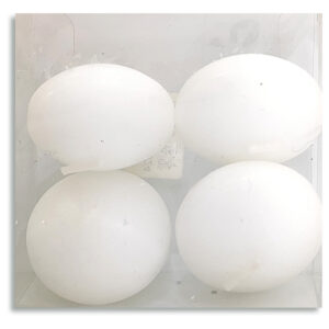 Vela flotante x4