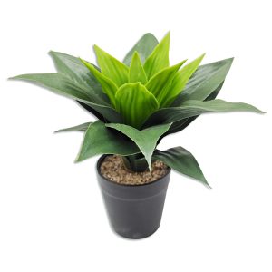 Planta decorativa en maceta