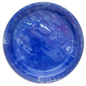 Plato descartable x10