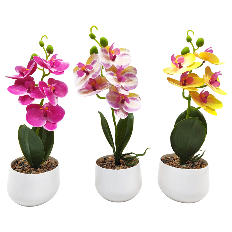 Flor decorativa orquídea en maceta