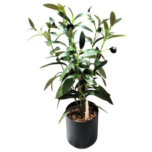 Planta decorativa de olivo en maceta