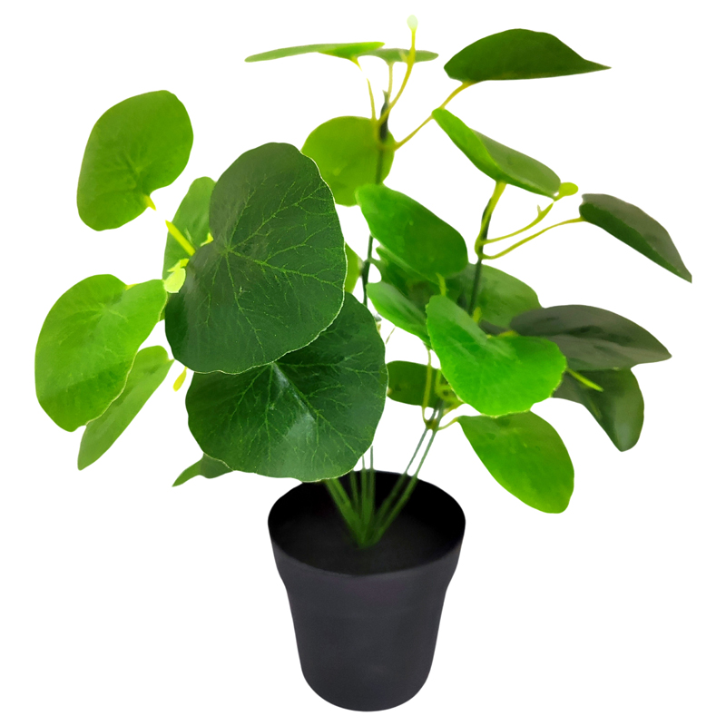 Planta decorativa en maceta
