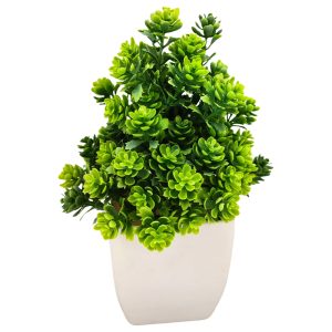 Planta decorativa suculenta en maceta