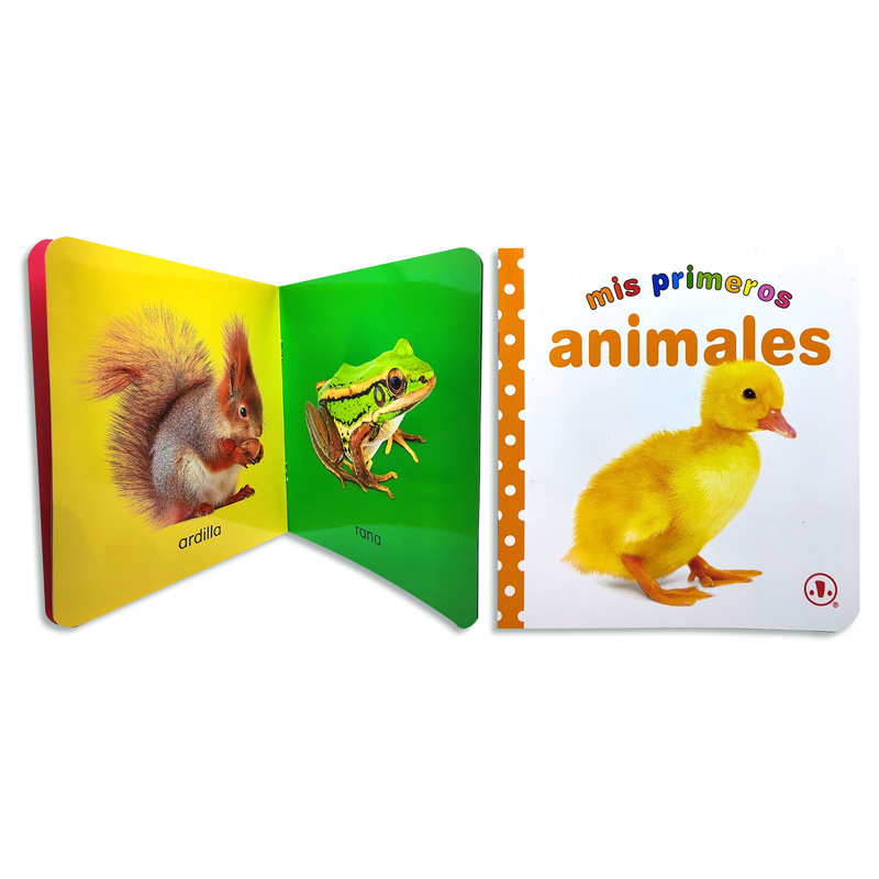 Libro didáctico - diseños surtidos - 6 páginas