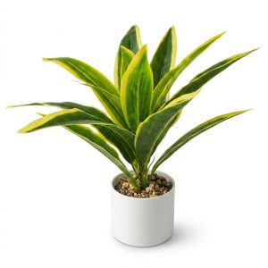 Planta decorativa en maceta