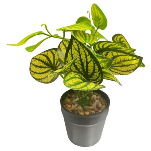 Planta decorativa en maceta