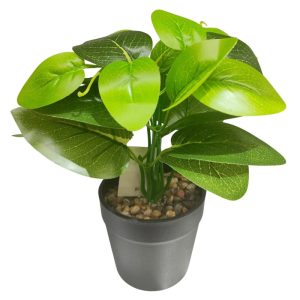 Planta decorativa en maceta