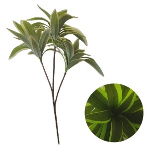 Planta decorativa