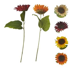Girasol