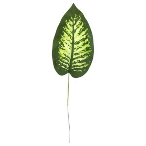 Hoja decorativa x6
