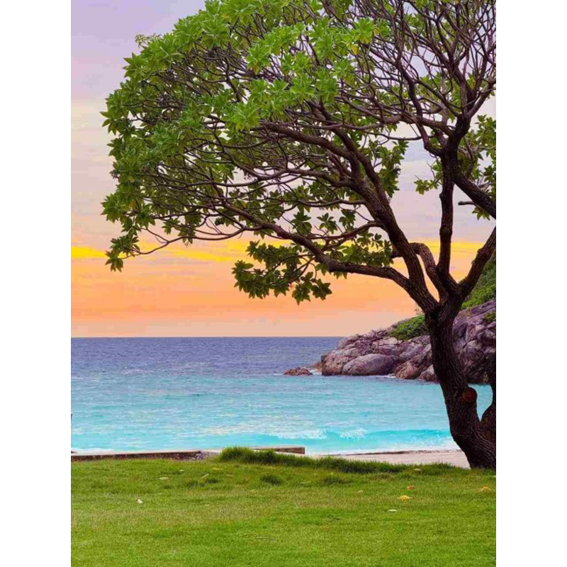 Pintura con diamante 5D Park