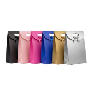 Bolsa de regalo lisa con solapa x12