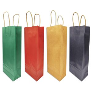 Bolsa de regalo kraft lisa x12